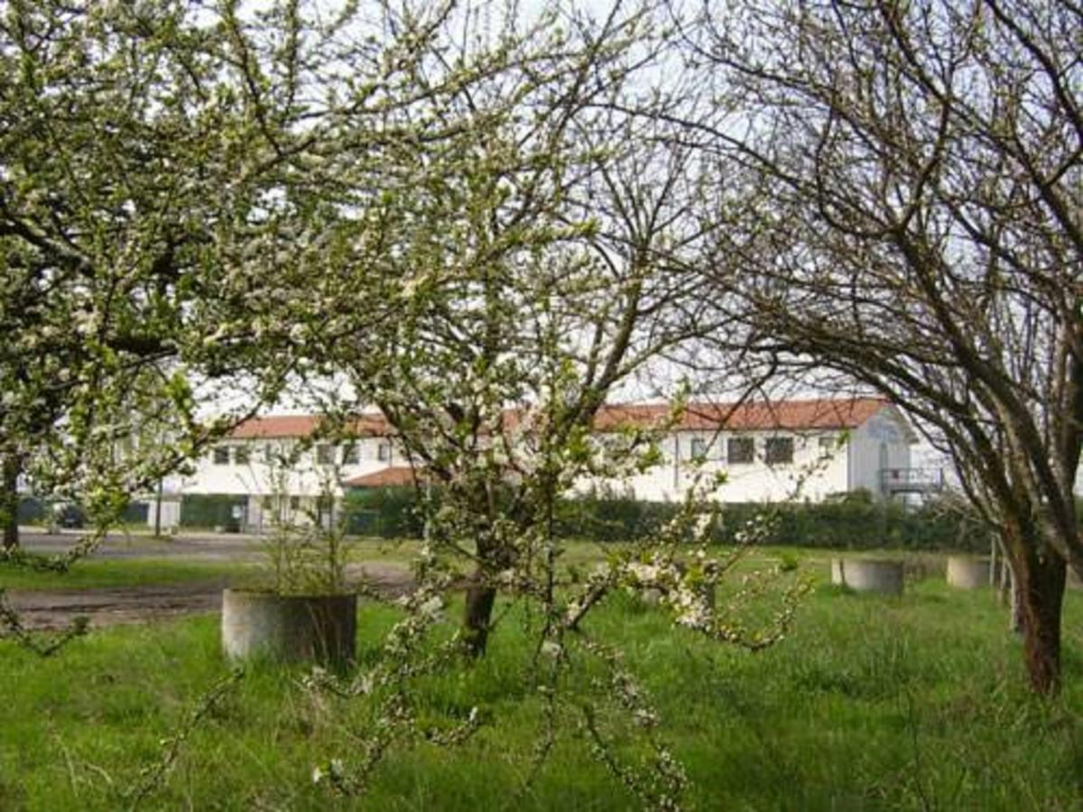 Hotel Lory Ficarolo Exterior photo